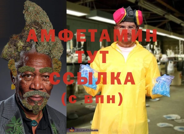 стафф Алексин