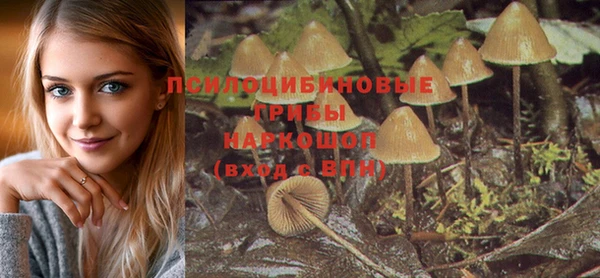 герыч Алзамай