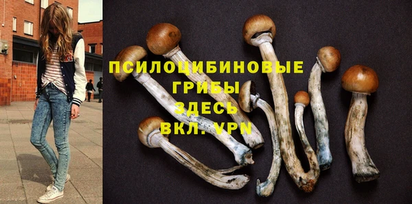 герыч Алзамай