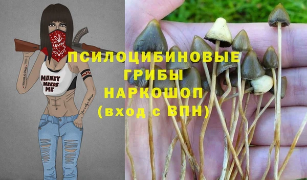 соль ск Алексеевка