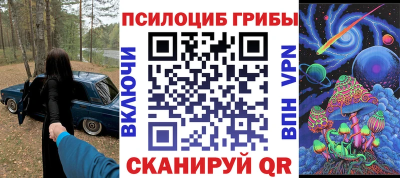 Псилоцибиновые грибы Cubensis  Бежецк 